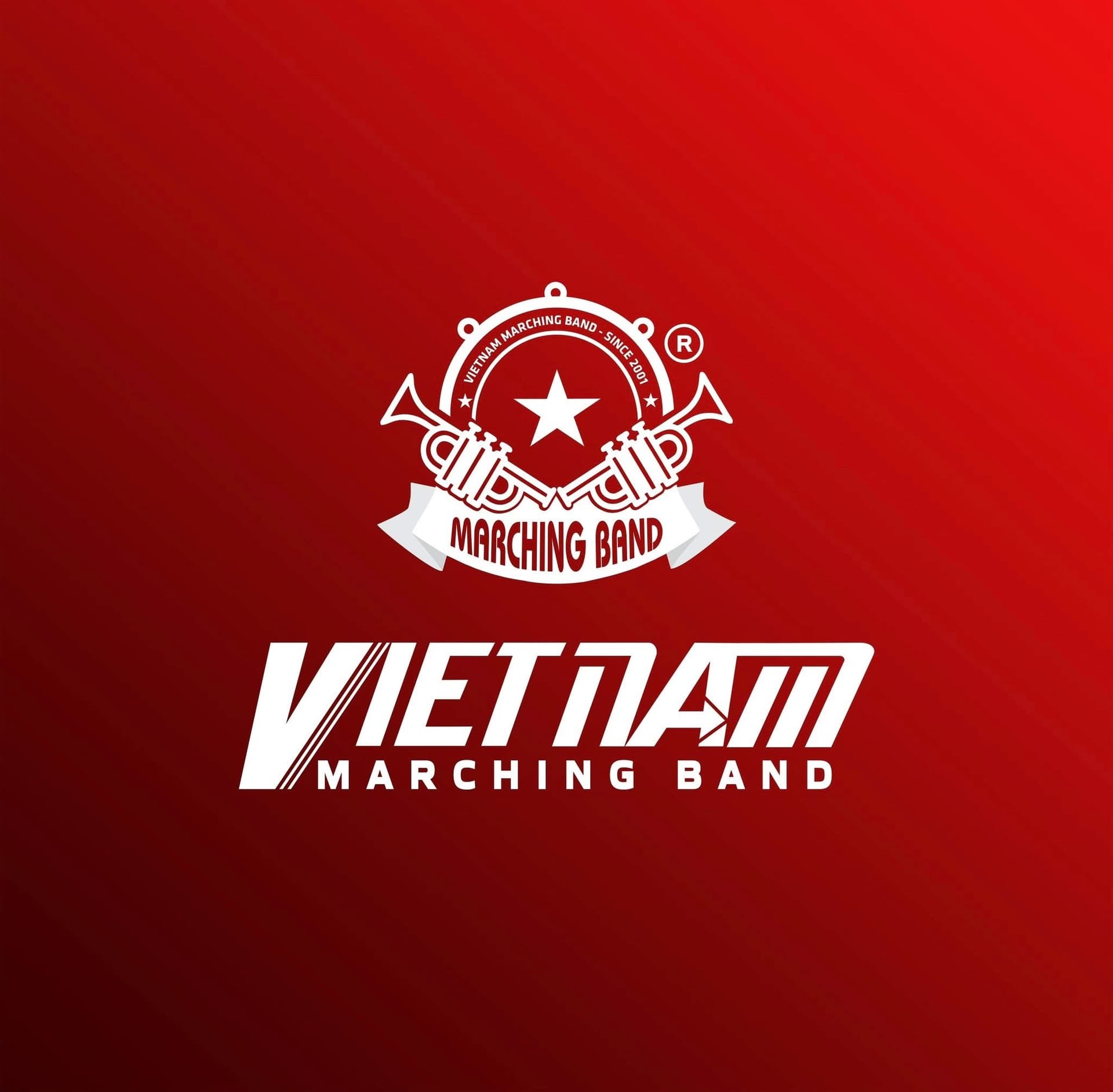 Vietnam Marching Band image